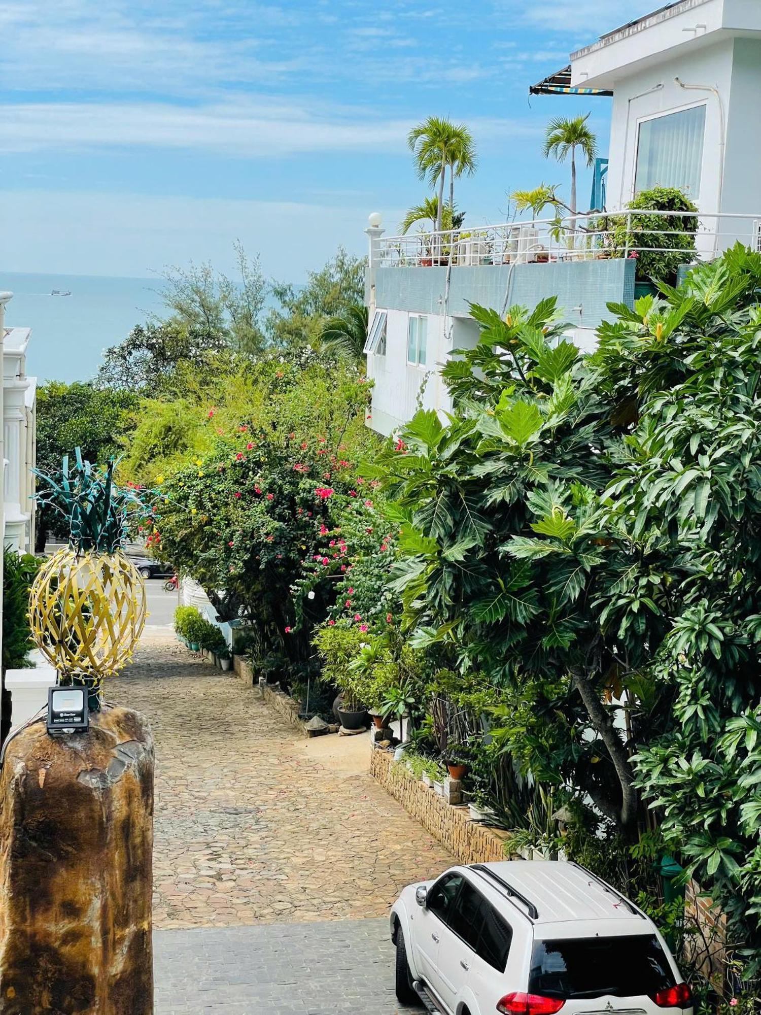 Ananas Beach Hotel Vũng Tàu Eksteriør billede